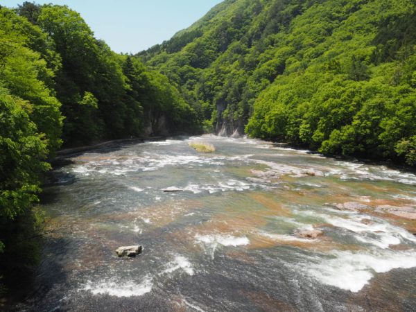 吊り橋の上からみた川の様子です