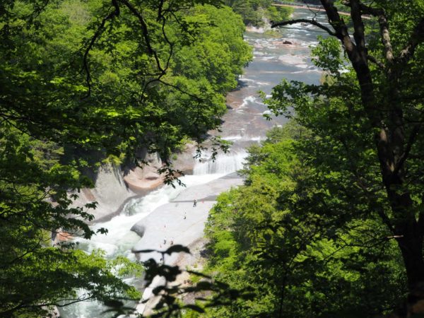 山の上の遊歩道からみた滝の写真です